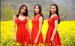 周涛被文强睡后内衣